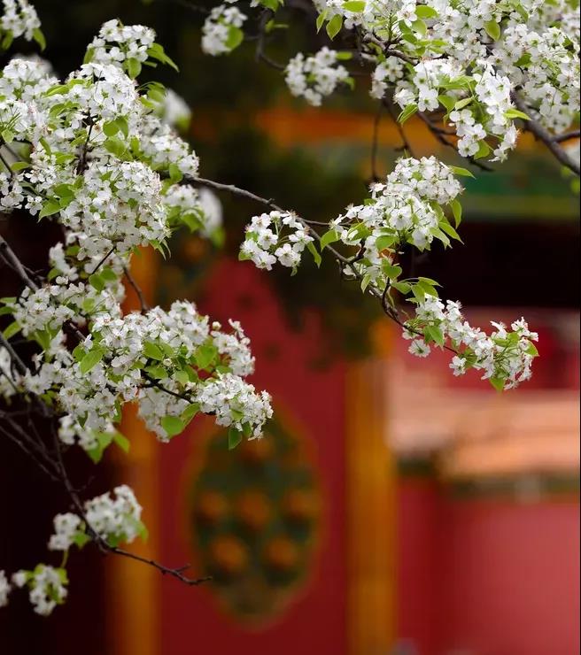 NG������(�Ϲ�)�ٷ���վ-�ֻ���app����