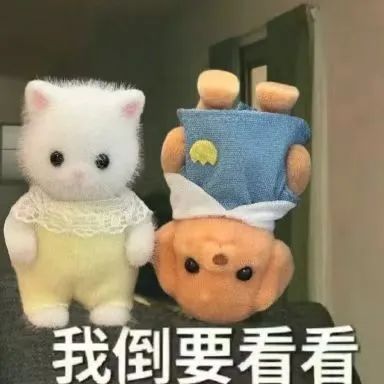 NG������(�Ϲ�)�ٷ���վ-�ֻ���app����