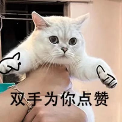 NG������(�Ϲ�)�ٷ���վ-�ֻ���app����